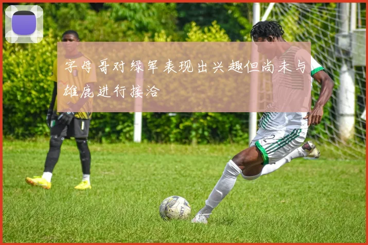 字母哥对绿军表现出兴趣但尚未与雄鹿进行接洽